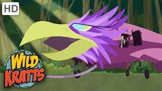 Wild Kratts | Secrets of the Spider's Web | Full Episode | Season 2