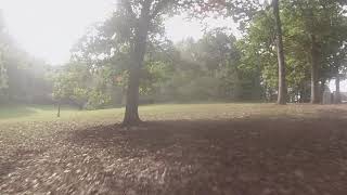 Drone hits tree head on