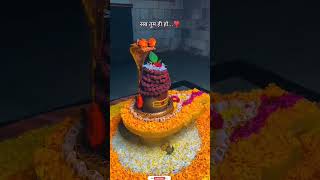 mahadev status video / shiv status video / bholenath video / shankar bhagvan video