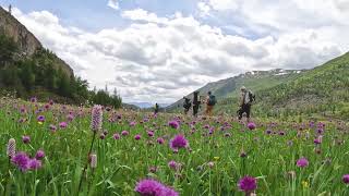 Altai Trekking Tour Mongolia