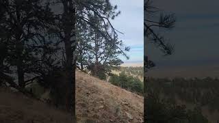 Gorgeous view of Boulder Colorado from up and above mountain