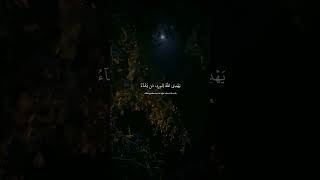 نور على نور #شريف_مصطفى #quran #explore