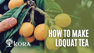 DIY with Kora - How to make loquat tea