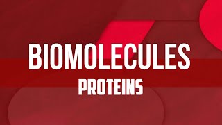 Proteins | Biomolecules | Class 11th by be educated