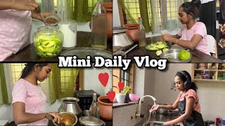 “ ഇപ്പോൾ ചിന്തിക്കാനുള്ള സ്ഥലം ആയി അടുക്കള 😌❤️” Daily Vlog ✨