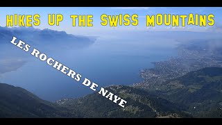 Randonnée de Montreux jusqu'aux Rochers de Naye