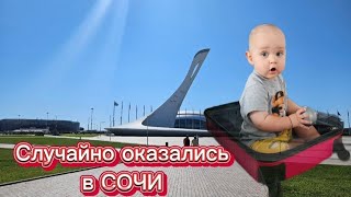 В сезон сняли квартиру за 5500р в Адлере/ Олимпийский парк/ перезалили видео