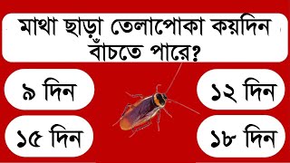 মাথা ছাড়া তেলাপোকা কয়দিন বাঁচতে পারে | GENERAL QUESTION | P TE PORI | GK SOLVE