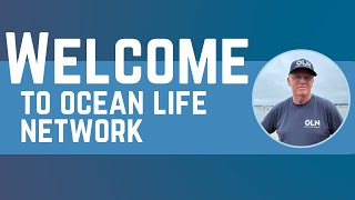 Welcome To Ocean Life Network, Your Source For All Things Ocean!