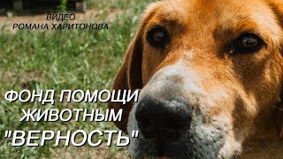 Фонд ❤ Верность- Саратов