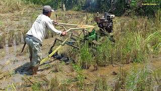 traktor sawah quick impala mesin modifikasi garap sawah dangkal bebatuan