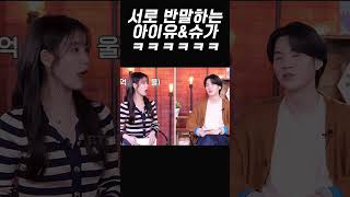 자기도 모르게 반말 튀어나오는 아이유&슈가 ㅋㅋㅋㅋㅋㅋ