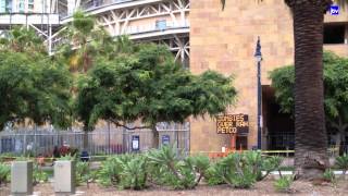 Zombies overran Petco Park