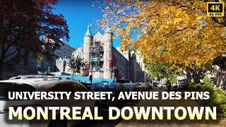 [4K] Walk on University & Avenue des Pins / Promenade sur Université et l’Avenue des Pins, Montreal