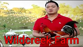 Lets Visit The Farm Of Wildcreek Gamefarm