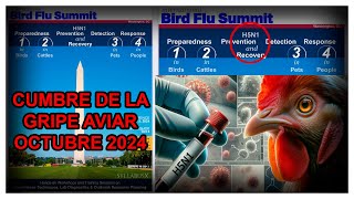 LA CUMBRE DE LA GRIPE AVIAR EN OCTUBRE DE 2024 SERÁ EL PRÓXIMO EVENT0 201?