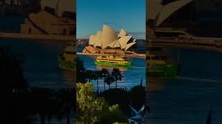 Sydney Opera House #reels #sydney #video