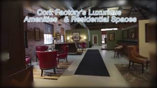 125  Fully Furnished Short Term Rental   3BD 2BA Cork Factory