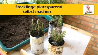 Wie mache ich Stecklinge