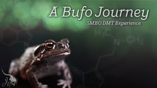 A Bufo Journey : 5MEO DMT Experience