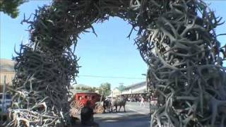 Stagecoach Rides on the Jackson Town Square