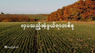 နေ့စဉ်ခွန်အား | ၂၀၂၄ ခုနှစ်၊ အောက်တိုဘာလ (၃၀) ရက်