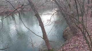 Bottomland Hardwood Forest