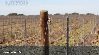 Magnifica Herdade vínica, com mais de 900 anos de História em pleno Alentejo