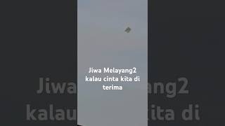 main layang layang #layangan #main #video