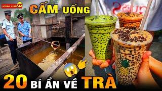 🔥 20 Bí Ẩn Ly Kỳ Và Thú Vị Về Trà Nếu Biết Những Điều Này Chưa Chắc Bạn Đã Dám Uống | Kính Lúp TV