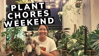 RELAXING WEEKEND PLANT CHORES (Watering, Maintaining Plants, Repotting)