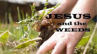 Jesus and the Weeds – Moving Closer to Jesus – Christian Devotional