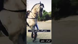 ابيات شعر روووووووووعه