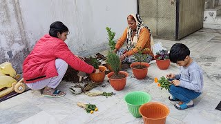 🌺अब मैं जवाब दूंगी 🌺जिन्हे सच सहन नहीं होता 🌺वो ना देखे हाथ जोड़ती हूँ मैं🌺 आपके बख्श दीजिये हमे🌺