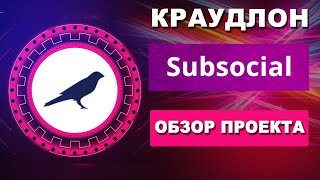 SUBSOCIAL ОБЗОР АУКЦИОН КРАУДЛОН ПАРАЧЕЙН KUSAMA | CROWDLOAN | РАЗБОР