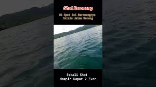 Ikan Begini Kalau Jalan Selalu Barengan || Spearfishing Rabbitfish