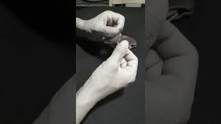 Coin Magic Routine - Repeat #cointricks #magichands