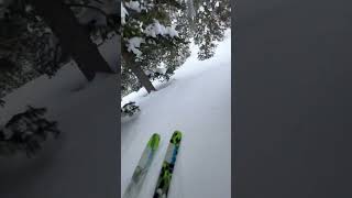 Pow shooting in Utah #shorts #skiing #freeski #explore #freeride