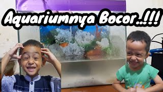 HAAA.. AQUARIUMNYA BOCOR.!!! | Yoichi Yafizhan