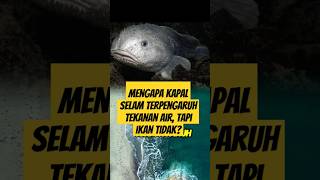 Mengapa kapal selam terpengaruh tekanan air, tapi ikan tidak? #shorts #feed #feedshorts