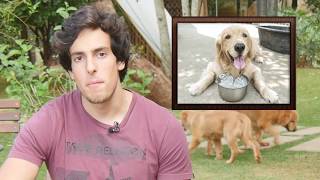 COMO FAZER SEU CÃO BEBER MAIS ÁGUA? | Bom Pra Cachorro