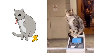 Skibidi Toilet Cat and Funniest Dogs (updated) 😅 Trending Funny Animals 😹