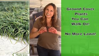 GROUND COVER PLANTS You Can Walk and Step On! ✅  Flowering Ground Cover Plants!  😀 Shirley Bovshow