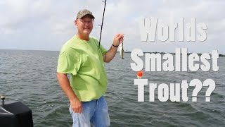 How To Catch Small Fish