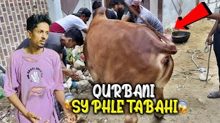 Qurbani Sy Phle Janwar Bhag Gaya 😱😱 Content bhai we miss you 😭💔 DOOGSLIFE