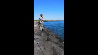 How To Catch Blackfish (Tautog - Tog) Fall Fishing