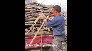 This man found the solution to keep the tree branches stay still on the truck!