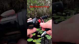 Bait trick. #angler #fishing #foryou #bassfishing #fish #shorts #short #fyp #fypシ #viral #viralvideo