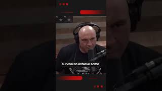 Unveiling the Future: When AI and Human Brains Merge! 🚀 | Joe Rogan Podcast