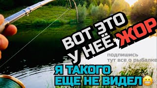 ОБАЛДЕТЬ 😱😱 Я ТАКОГО ЕЩЕ НЕ ВИДЕЛ 😬 ПЯТЬ ЩУЧЬИХ АТАК С ОДНОГО МЕСТА. ЩУКА РАЗРЫВАЕТ ЭТУ ПРИМАНКУ